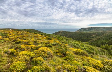 Yeşil vadisi alçak dağlarla çevrili güzel bir manzara. Algarve. Portekiz.