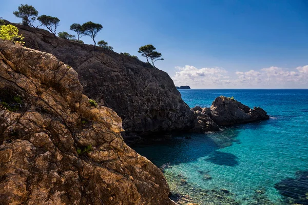 Árboles Ladera Montaña Isla Mallorca España Mar Mediterráneo Islas Baleares — Foto de Stock