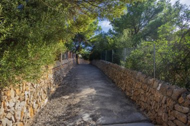 Parkta yürüyüş yolu var. Etrafı taş duvarlarla çevrili. Ve yol boyunca güneş ışınları var.
