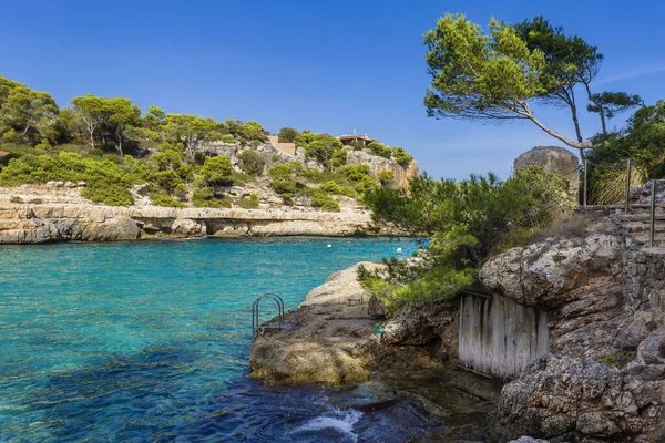 Bäume Hang Des Berges Mallorca Spanien Mittelmeer Balearen — Stockfoto
