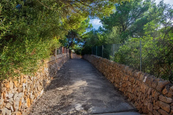 Spazierweg Park Umgeben Von Steinmauern Der Seite Und Sonnenstrahlen Auf — Stockfoto