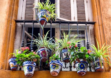 Pencere çömlek çiçekleriyle süslenmiş. İspanya