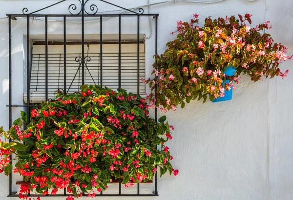 Fenster Mit Töpfen Blumen Dekoriert Spanien — Stockfoto