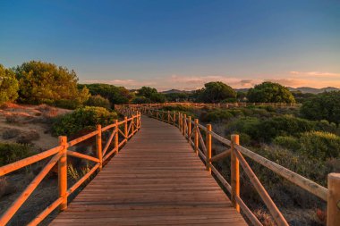Cabopino, Artola 'daki kırsal kesimde, sakin bir denize açılan kereste yolu. Marbella, İspanya