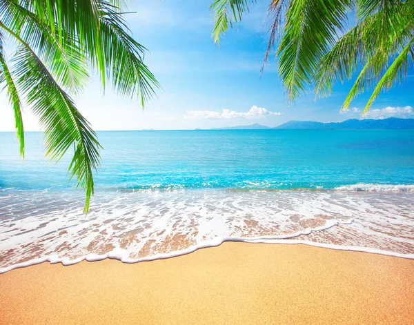 Spiaggia di sabbia tropicale e mare — Foto Stock