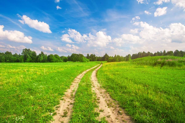 Grüne Wiese und Straße — Stockfoto