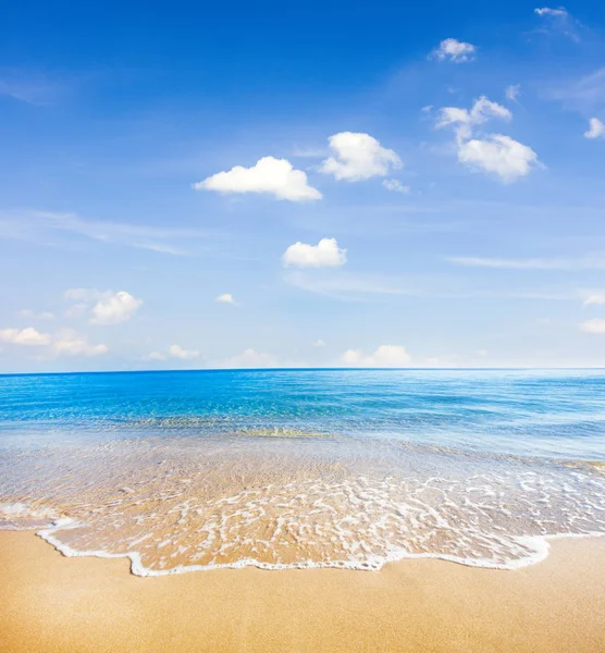 Spiaggia di sabbia tropicale e mare — Foto Stock