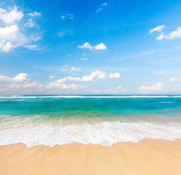 Tropical sandy beach and sea — Stock Photo, Image