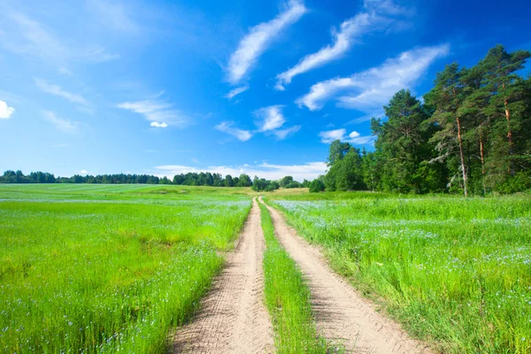 Campo verde e estrada — Fotografia de Stock