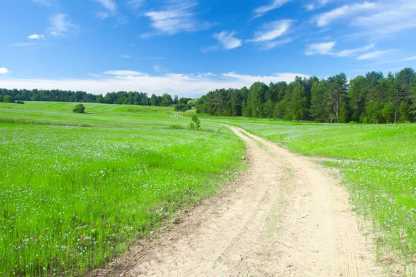 Beautiful field and road — Stock Photo, Image