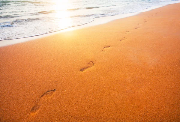 Beautiful sandy beach — Stock Photo, Image