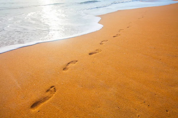 Beautiful sandy beach — Stock Photo, Image