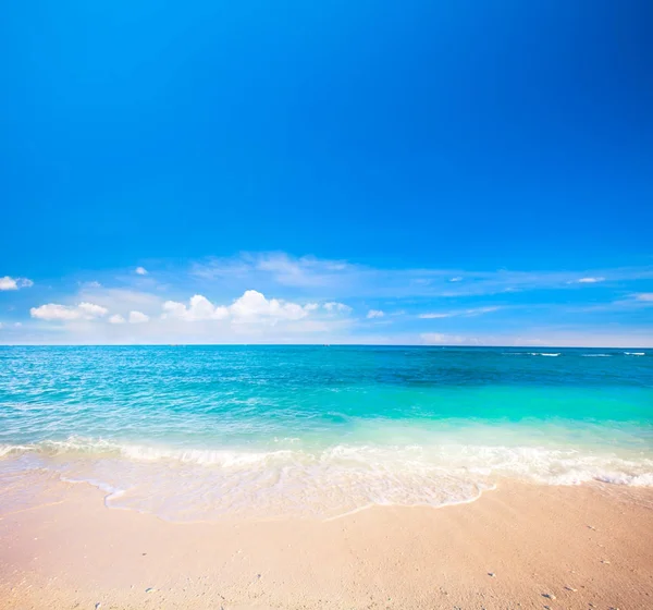 Strand und tropisches Meer — Stockfoto