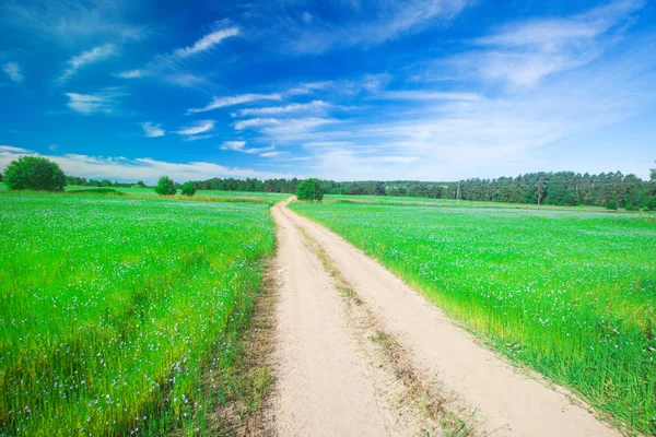 Beautiful field and road — Stock Photo, Image