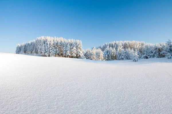 Inverno parque nevado — Fotografia de Stock