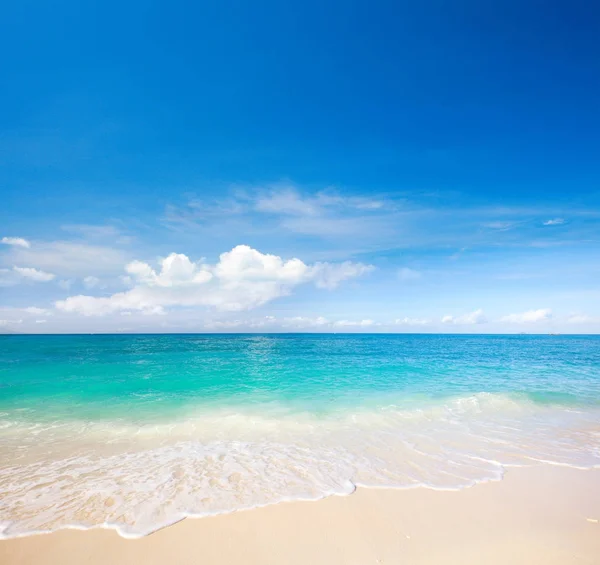 Schöner Tropischer Strand Und Ozean lizenzfreie Stockbilder