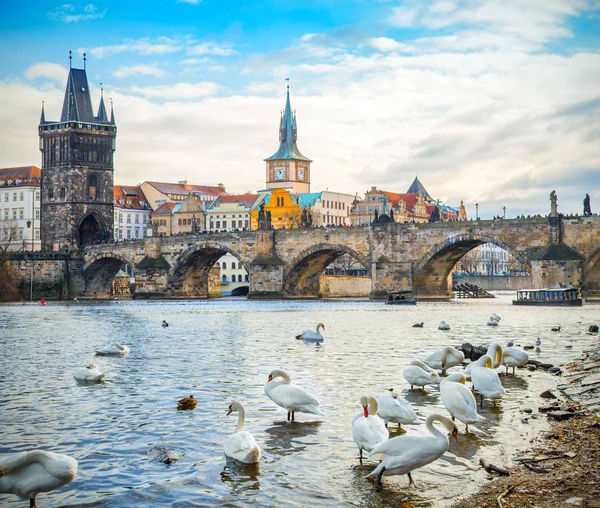 Charles Köprüsü Prag Çek Cumhuriyeti — Stok fotoğraf