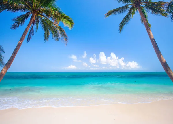 Panoramic tropical beach — Stock Photo, Image