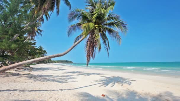 Bateaux en bois sur la plage de sable — Video