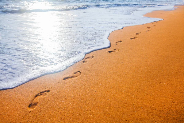 beach, wave and footsteps at sunset time — Stock Photo © hydromet #14829031