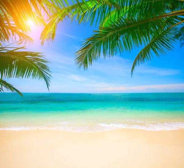 Amazing beach Stock Photos, Royalty Free Amazing beach Images ...