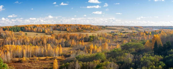 Панорама красивого осеннего леса — стоковое фото