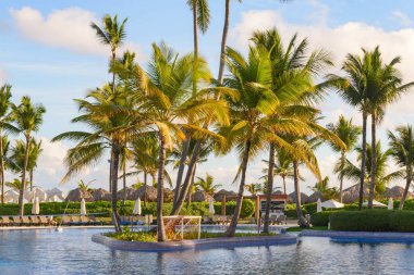  Palmiye ağaçlı Sakin Havuz