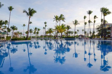  Palmiye ağaçlı Sakin Havuz