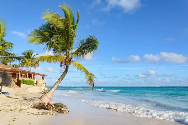 Sunny Beach Repubblica Dominicana Punta Cana — Foto Stock