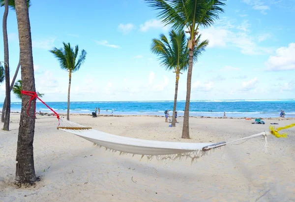 Hamac Sur Plage Ensoleillée Punta Cana — Photo