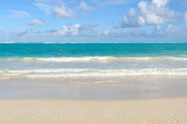 Yazın kumlu bir sahilde el salla.