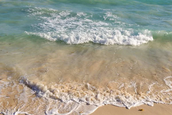 Vague Sur Une Plage Sable Fin Été Images De Stock Libres De Droits