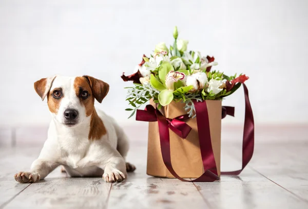 Cão com flores de buquê no chão — Fotografia de Stock