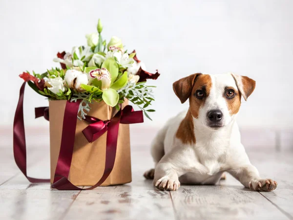 Dog with bouquet flowers on floor — Stock Photo, Image