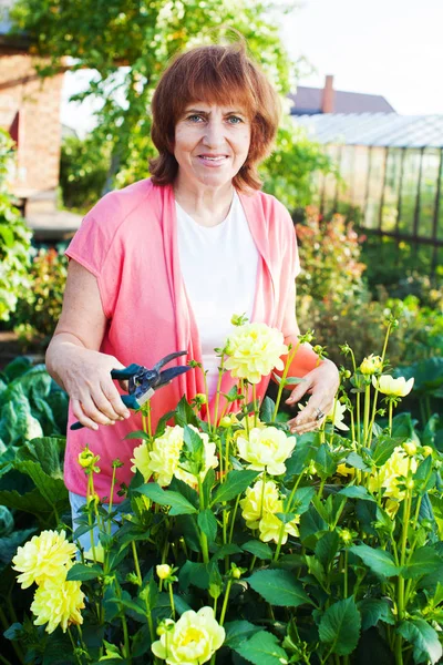 Woman in the garden cares for flowers — Stock Photo, Image