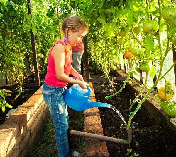 Девушка поливает сад — стоковое фото
