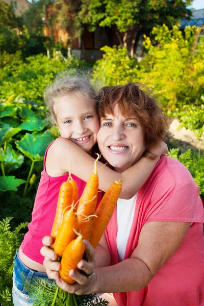 Woman grows harvest in the garden — Stock Photo, Image