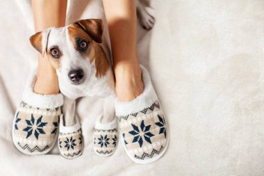 Kadın ve köpek terlik içinde