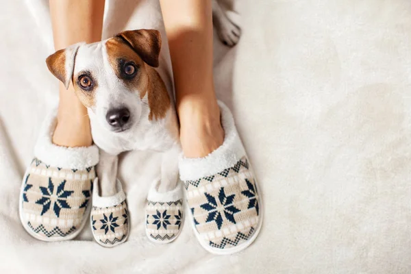 Kvinna och hund i tofflor — Stockfoto