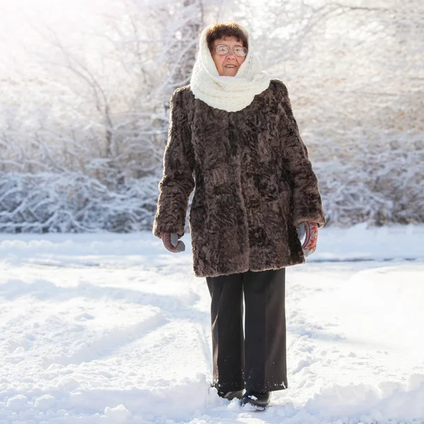 Vieja caminando en el parque de invierno . — Foto de Stock