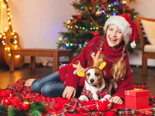 Lächelndes Mädchen mit Hund neben Weihnachtsbaum zu Hause — Stockfoto
