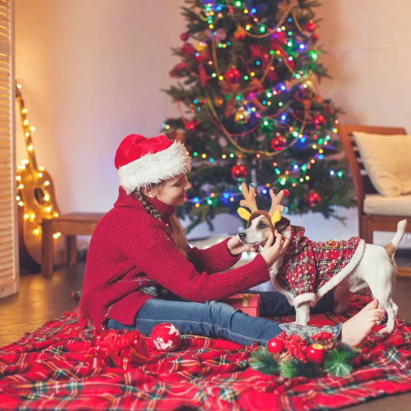 Chica sonriente con perro cerca del árbol de Navidad en casa — Foto de Stock