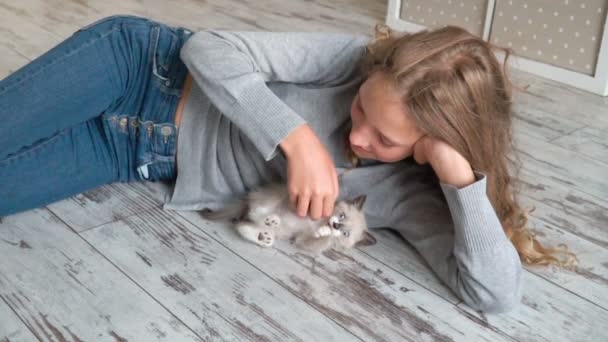 Το όμορφο κορίτσι παίζει με μια γκρίζα γάτα στο σπίτι. — Αρχείο Βίντεο