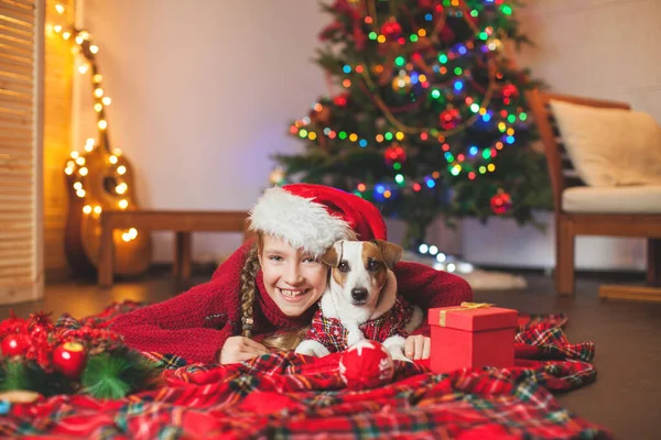 Lächelndes Mädchen mit Hund neben Weihnachtsbaum zu Hause — Stockfoto