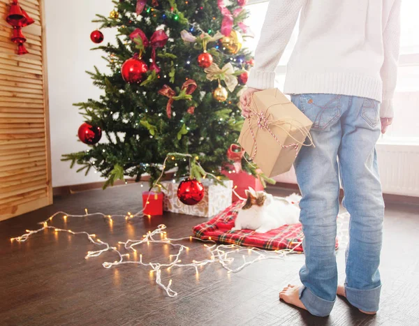 Criança perto da árvore de Natal com um presente atrás — Fotografia de Stock