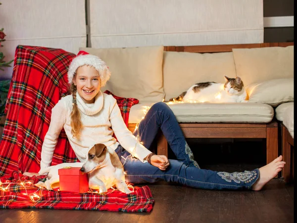 Souriante fille avec des animaux de compagnie près de l'arbre de Noël à la maison — Photo