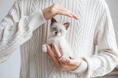 Elinde sevimli bir kedi var genç adam