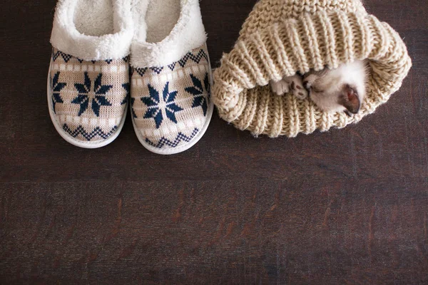 Slippers and knitted hat on warm floor — Stock Photo, Image