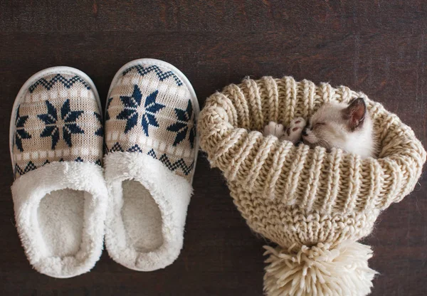 Slippers and knitted hat on warm floor