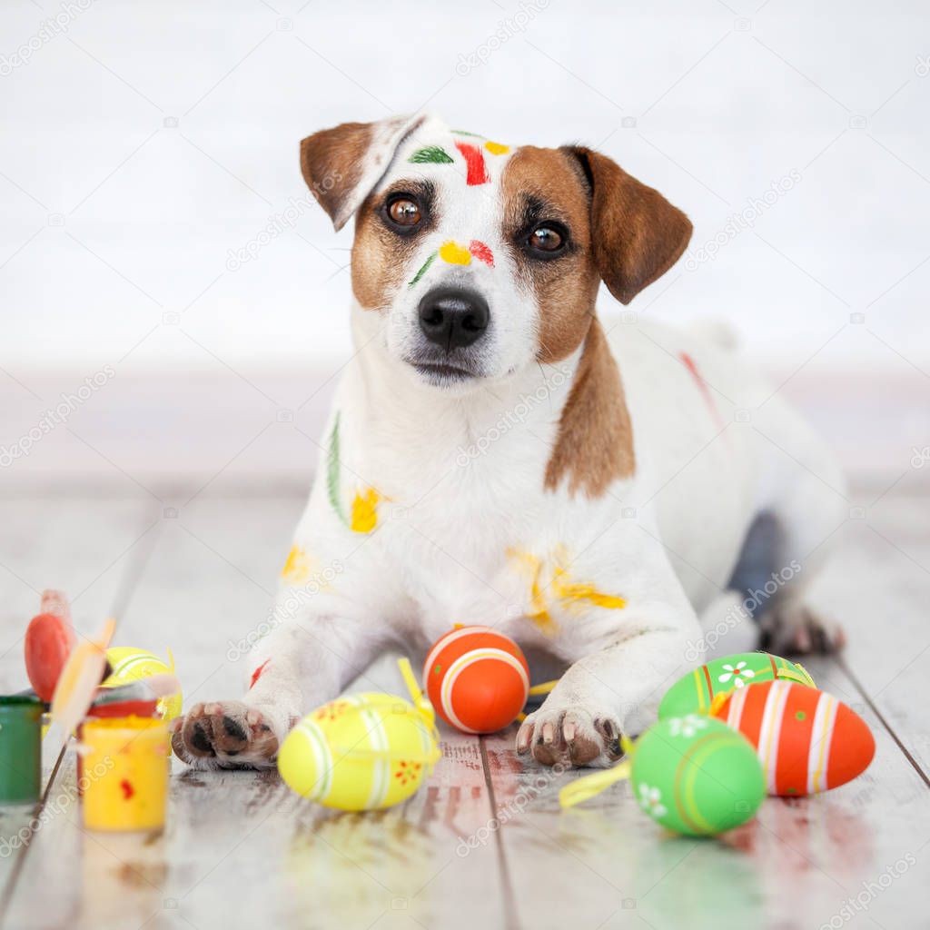 Dog with painted Easter eggs
